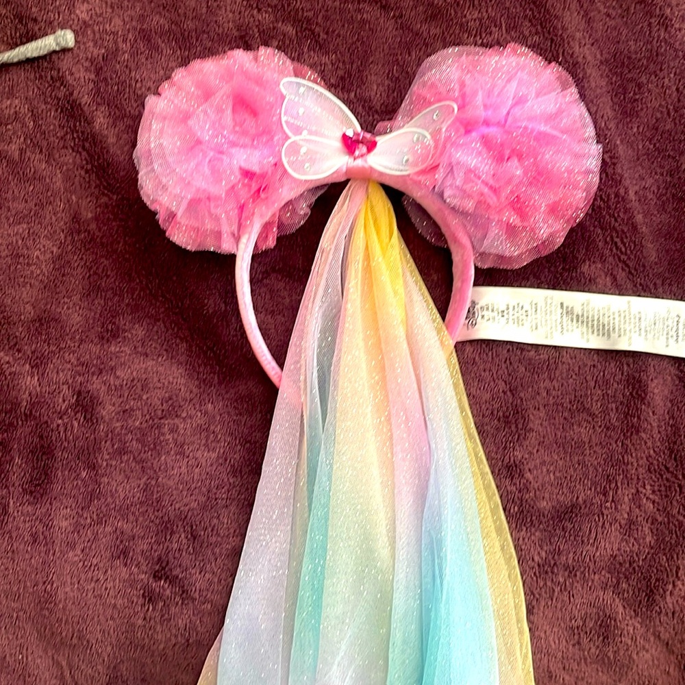 Minnie Mouse ears from Walt Disney world